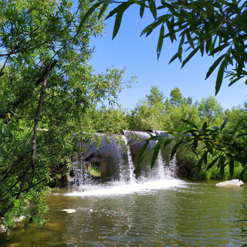 Легостаевский заказник