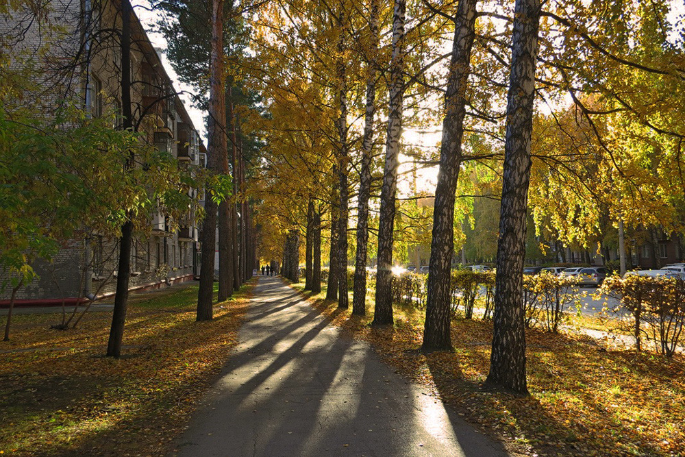 Академгородок осенью