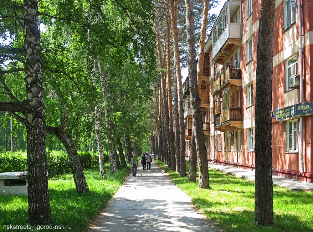 проспект в академгородке Новосибирска