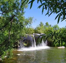 Легостаевский заказник