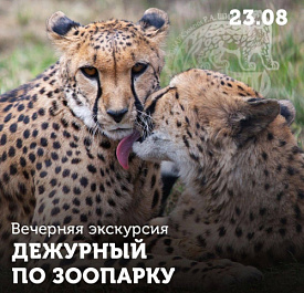 Вечерняя экскурсия «Дежурный по зоопарку»