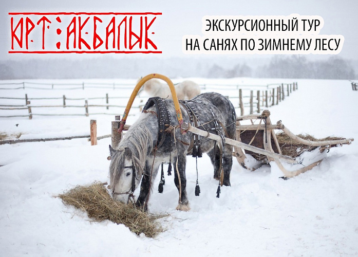 Юрт-Акбалык. На санях по зимнему лесу №1