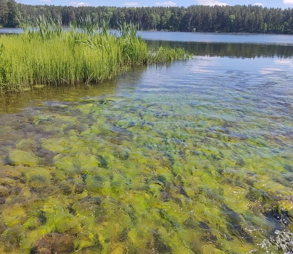 Водопад Карпысак