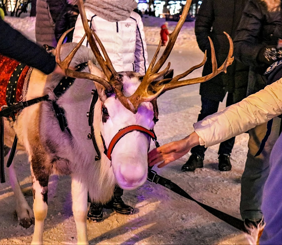 Новогодние огни Новосибирска